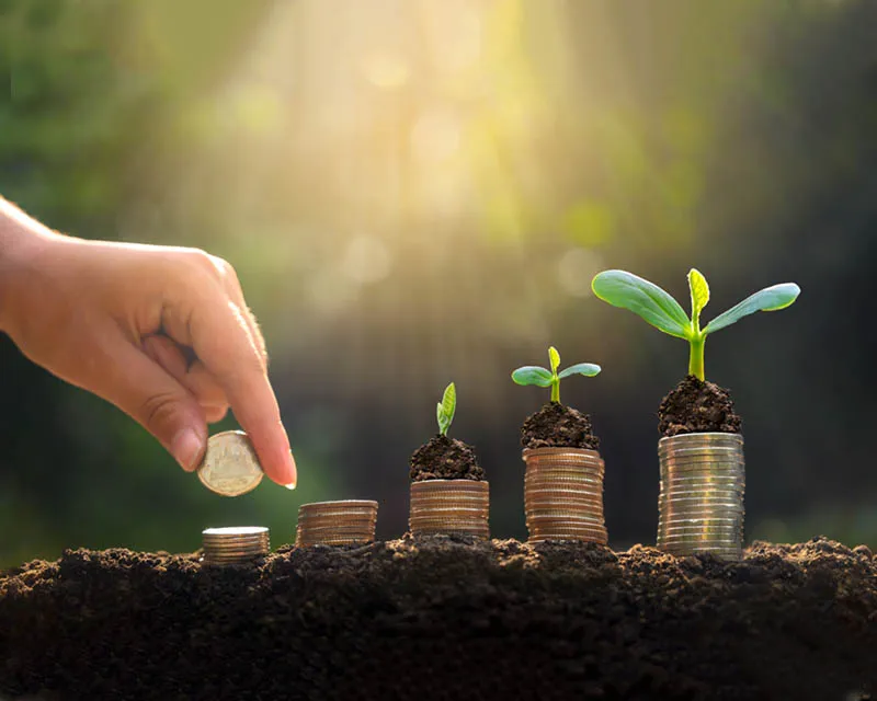 الجمعية التشادية للتنمية ومكافحة الففر